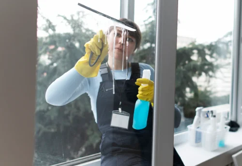 Nettoyage de vitres intérieures et extérieures à Montoldre